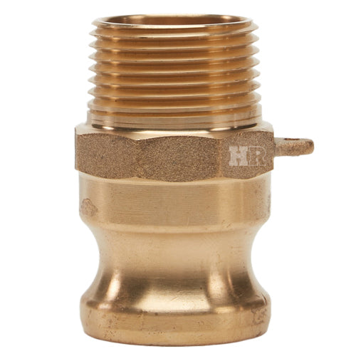 Brass 1" Male Camlock x 1" Male NPT (USA)