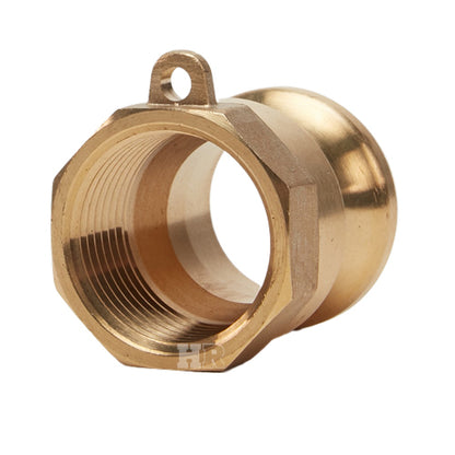 Brass 1 1/4" Male Camlock x 1 1/4" Female NPT