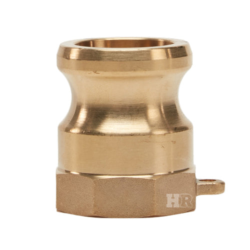 Brass 1 1/4" Male Camlock x 1 1/4" Female NPT