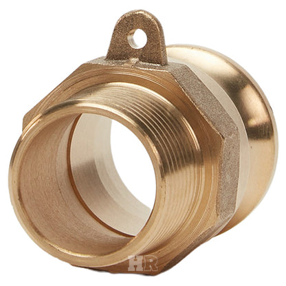 Brass 3/4" Male Camlock x 3/4" Male NPT