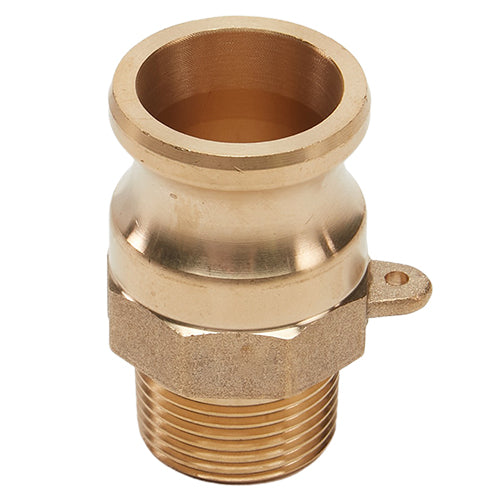 Brass 3/4" Male Camlock x 3/4" Male NPT