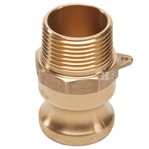 Brass 1" Male Camlock x 1" Male NPT