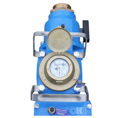 Backflow Preventer With Water Meter and Relief Valve