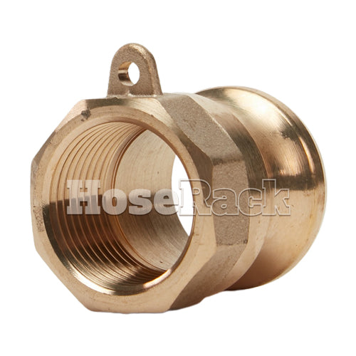 Brass 1/2" Male Camlock x 1/2" Female NPT