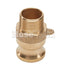 Brass 1/2" Male Camlock x 1/2" Male NPT