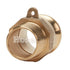 Brass 1/2" Male Camlock x 1/2" Male NPT