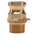 Brass 1" Male Camlock x 1" Male NPT (USA)