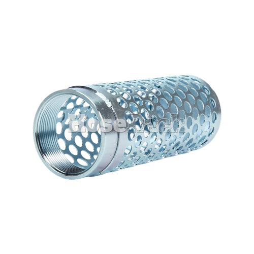 Steel 2" NPSH Thin Barrel Strainer