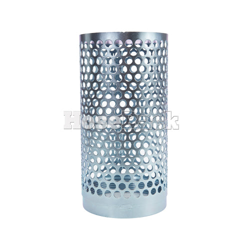 Steel 4" NPSH Thin Barrel Strainer