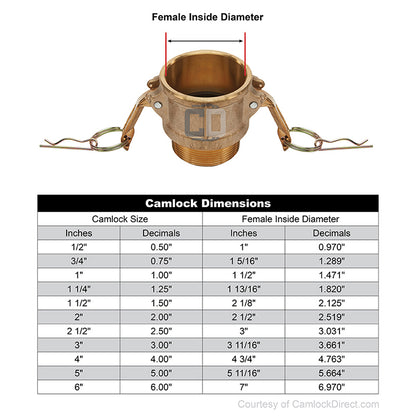 Brass 1/2" Female Camlock x 1/2" Male NPT (USA)