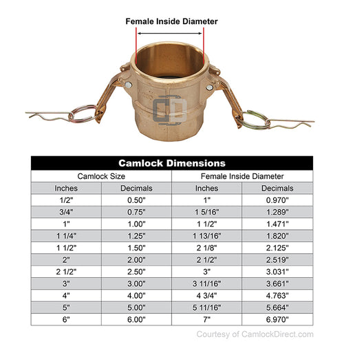 Brass 4" Female Camlock x 4" Female NPT (USA)