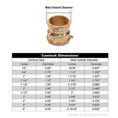 Brass 4" Male Camlock x 4" Female NPT