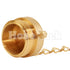 Brass 1 1/2" NH Plug (Pin Lug)