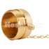 Brass 2 1/2" NH Plug (Pin Lug)