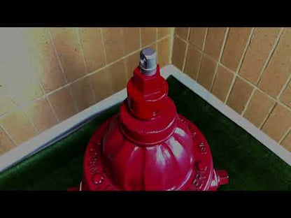 Heavy Duty Fire Hydrant Lock (USA)